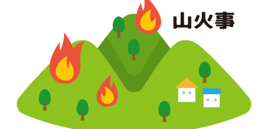 山火事の原因とやっておくべき備えを解説