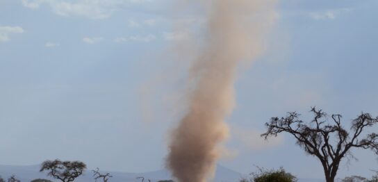 竜巻注意情報や発生の前触れ、やっておくべき備えを防災士が解説